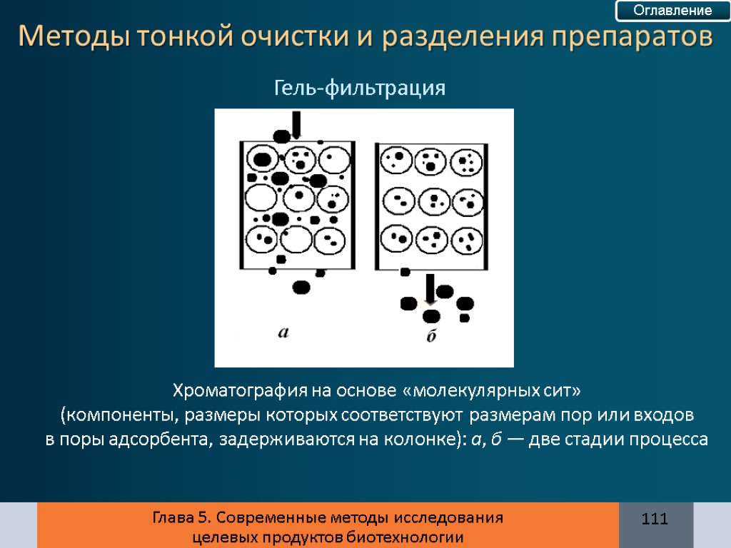 Глава 5. Современные методы исследования целевых продуктов биотехнологии Гель-фильтрация Хроматография на основе «молекулярных сит»